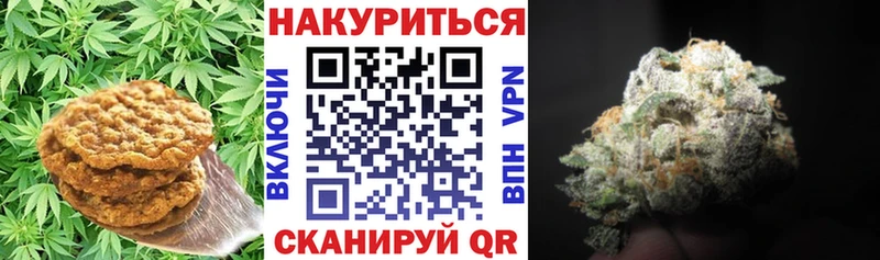kraken онион  Советск  Печенье с ТГК марихуана  наркота 