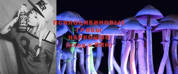 герыч Снежинск