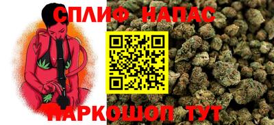 mdpv Краснознаменск