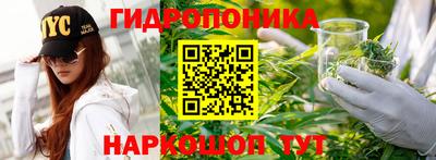 mdpv Краснознаменск