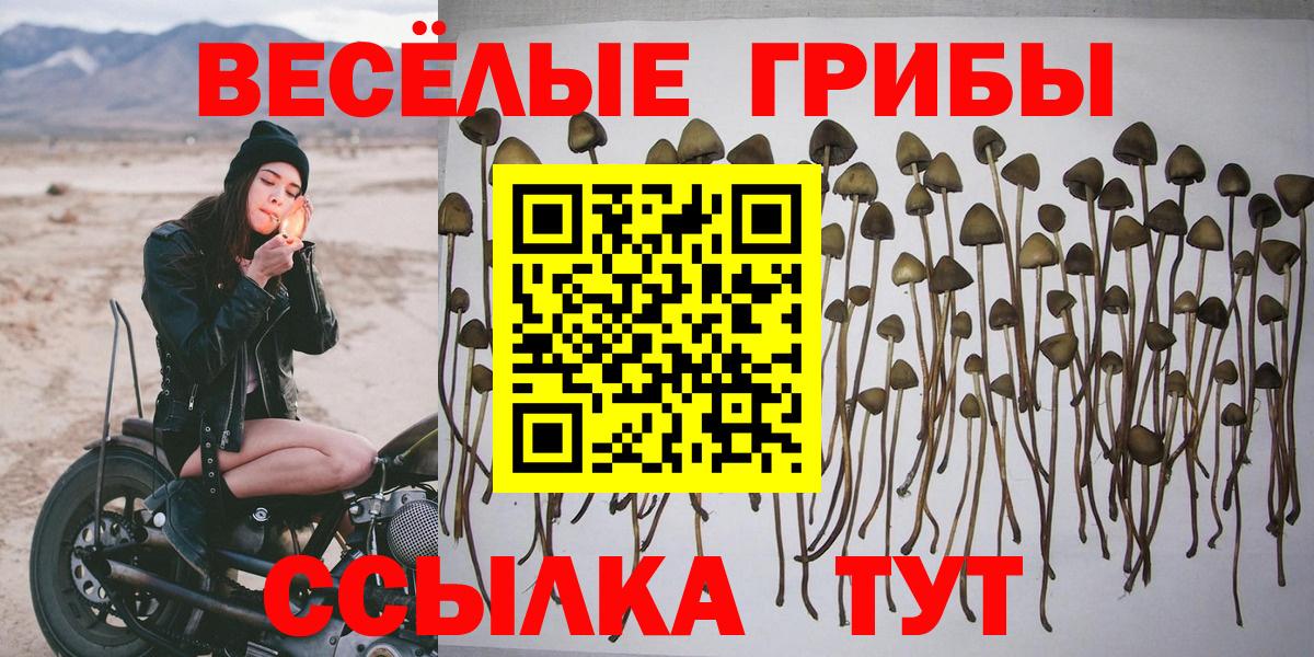 что такое наркотик  Псилоцибиновые грибы ЛСД  Вход с VPN  Советск 